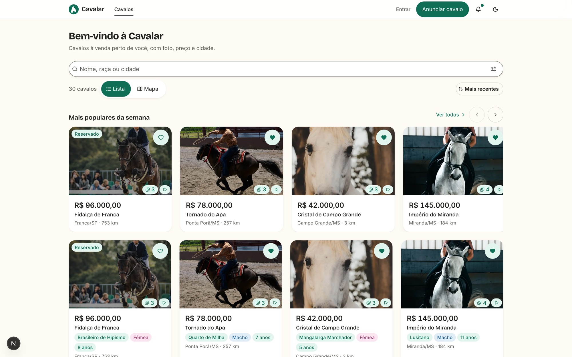 Catálogo do Cavalar em modo lista, com busca, filtros, ordenação e os cartões de anúncio